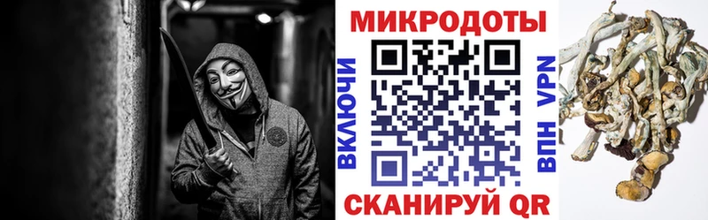 omg ссылка  Шуя  Псилоцибиновые грибы Cubensis 